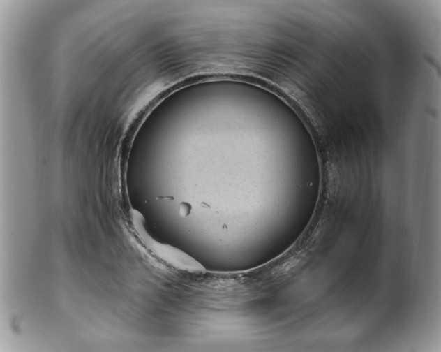 X0000100400982200806131010