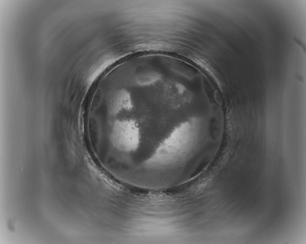 X0000100400983200806131010