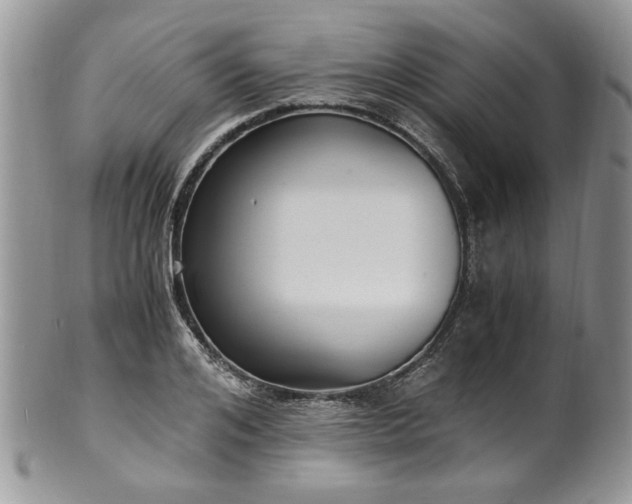 X0000100400984200806131010