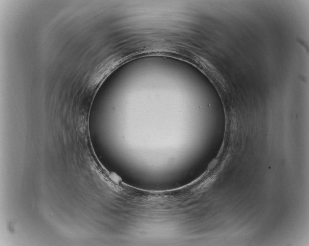 X0000100400985200806131010