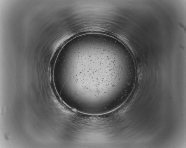 X0000100400987200806131010