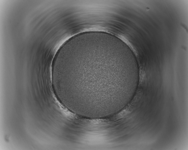 X0000100400988200806131010