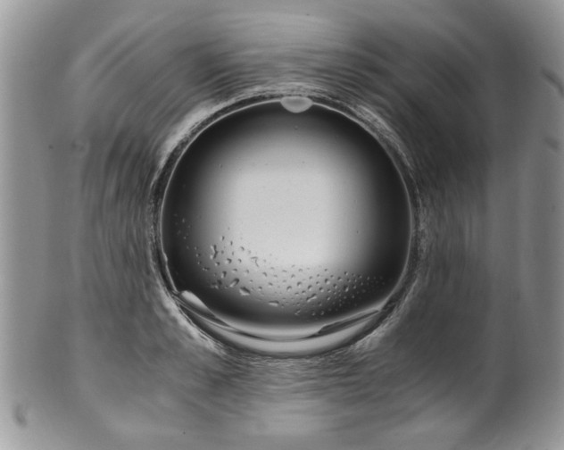 X0000100400989200806131009