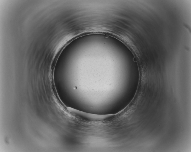 X0000100400990200806131009