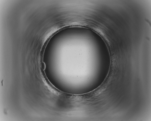 X0000100400991200806131009