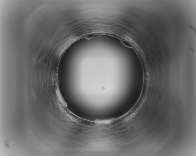 X0000100400993200806131009