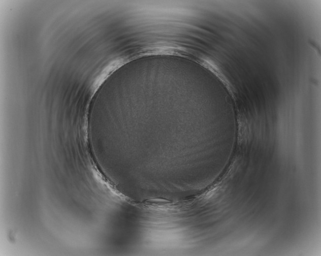 X0000100400994200806131009