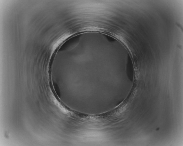 X0000100400995200806131009