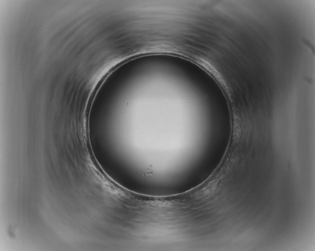 X0000100400996200806131009