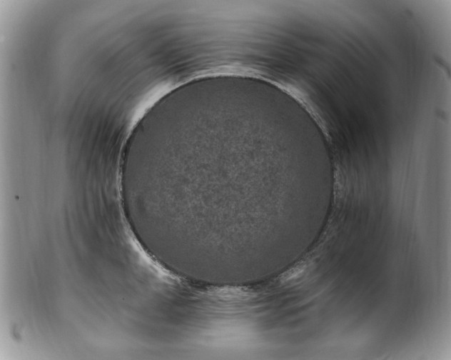 X0000100400998200806131009
