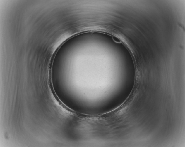 X0000100400999200806131009