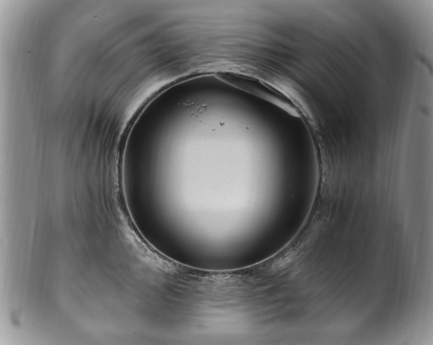 X0000100401000200806131009