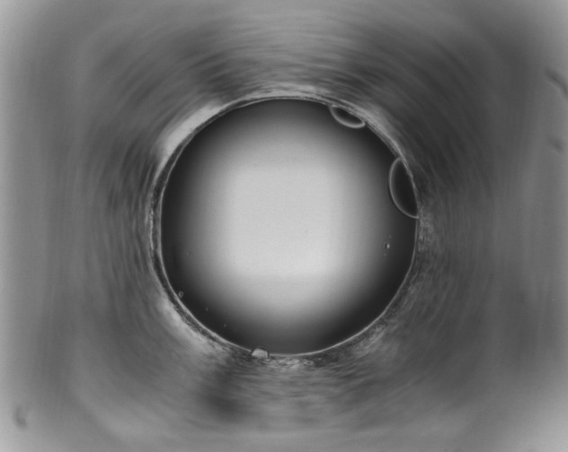 X0000100401003200806131009