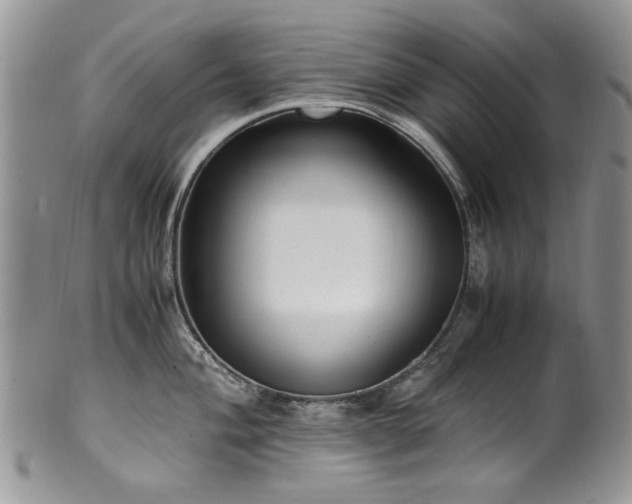 X0000100401004200806131009