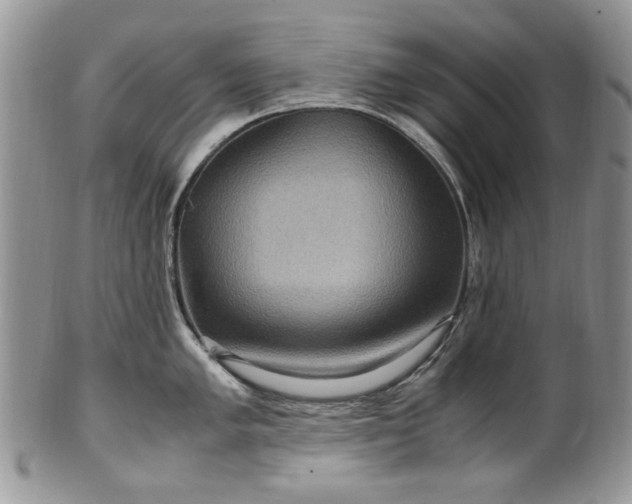 X0000100401005200806131009