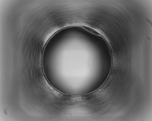 X0000100401006200806131009