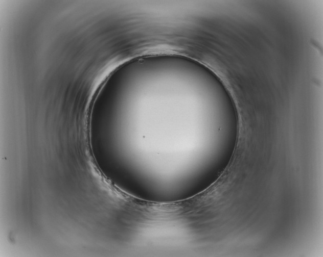 X0000100401008200806131009
