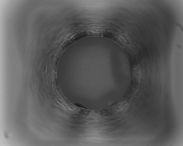 X0000100401009200806131009
