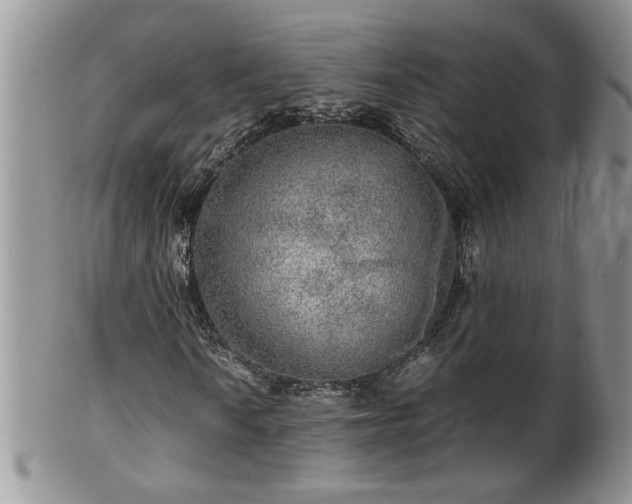 X0000100401010200806131009