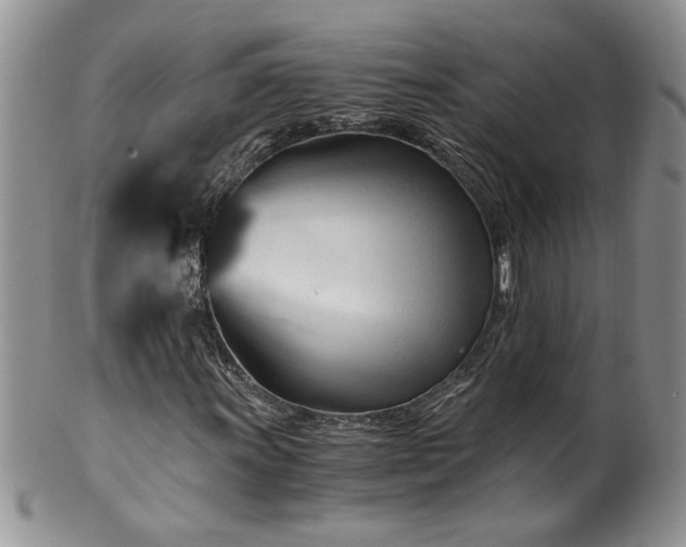 X0000100401011200806131009