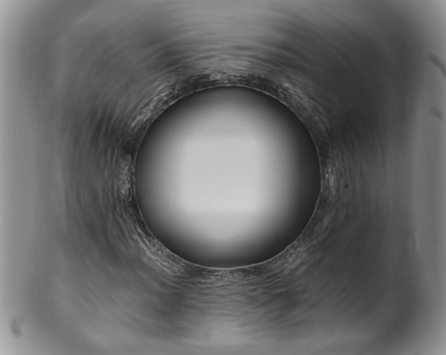 X0000100401012200806131009