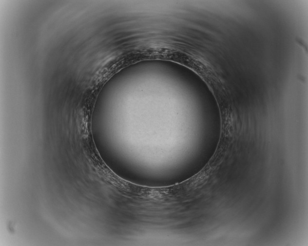 X0000100401013200806131009