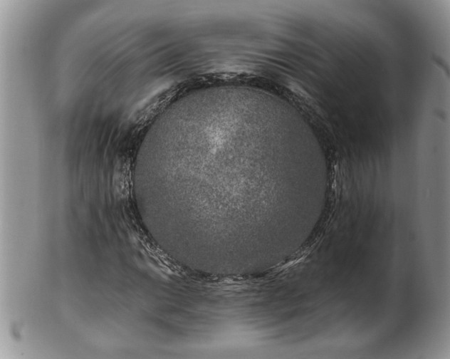 X0000100401014200806131009