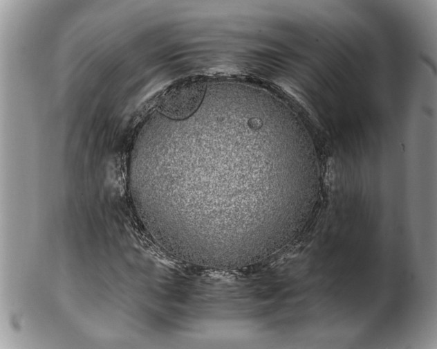 X0000100401015200806131009