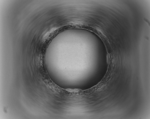 X0000100401016200806131009