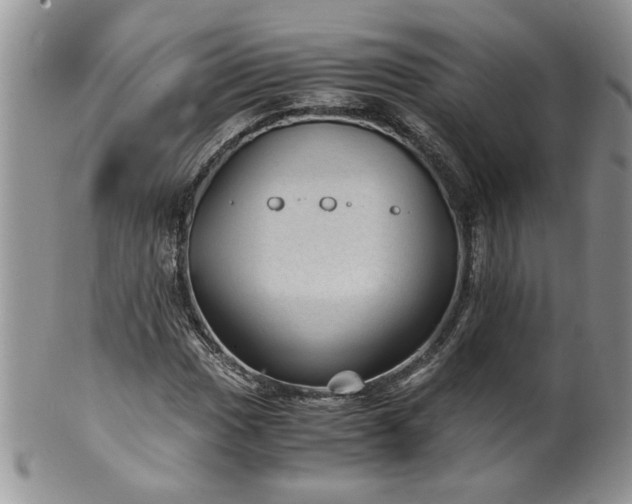 X0000100401017200806131009