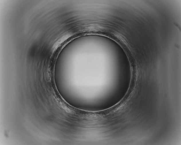 X0000100401018200806131009