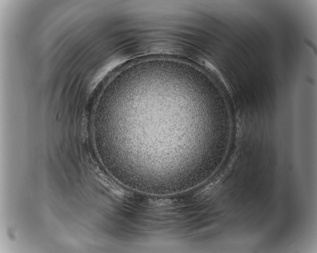 X0000100401019200806131009