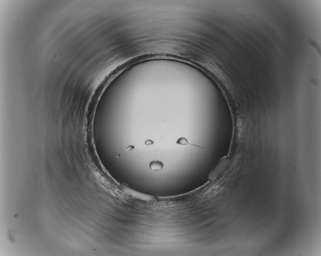 X0000100401020200806131009