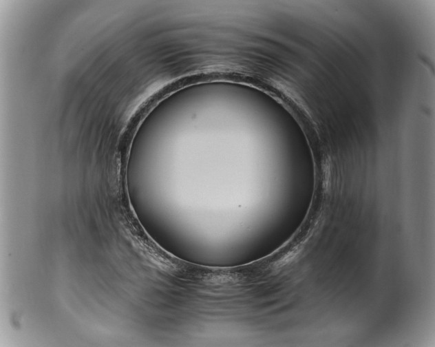 X0000100401021200806131009