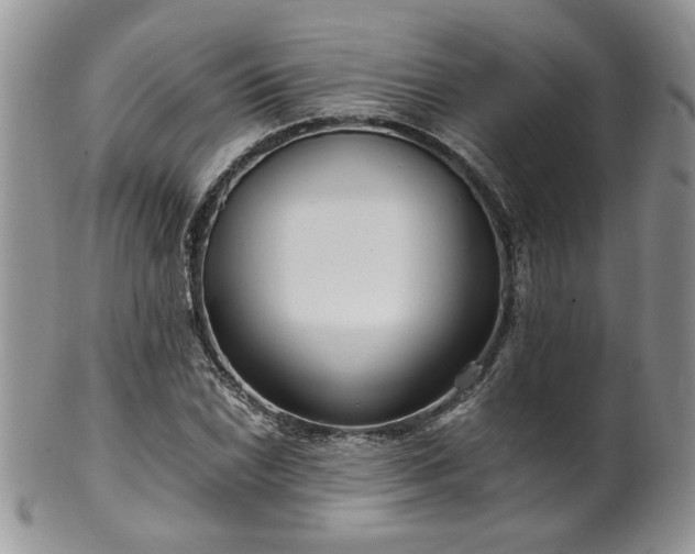 X0000100401022200806131009
