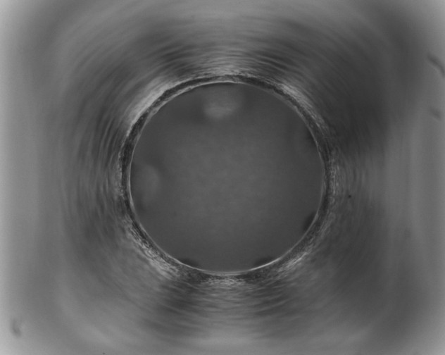 X0000100401023200806131009
