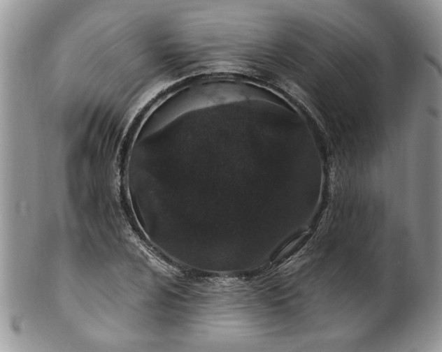 X0000100401024200806131009