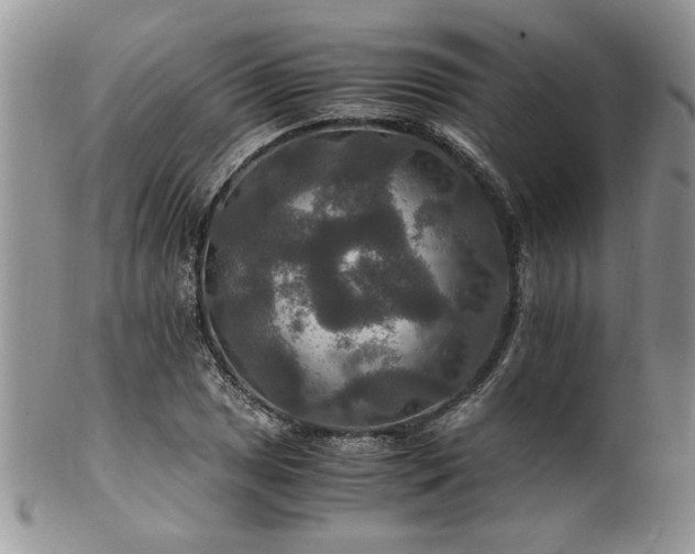 X0000100401025200806131009