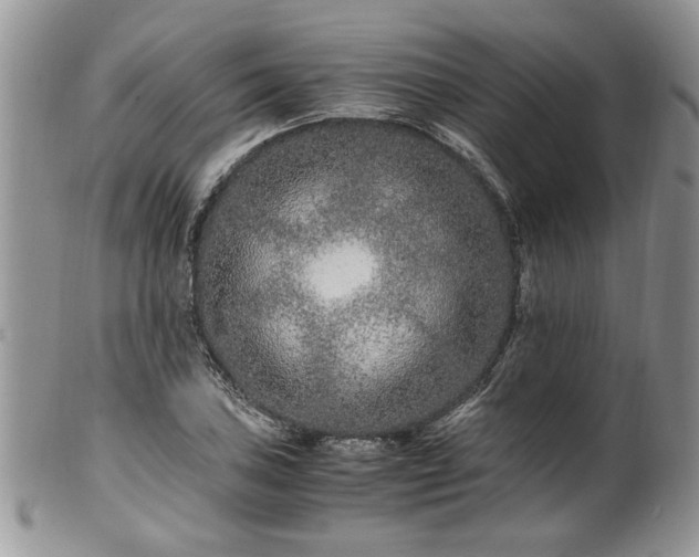 X0000100401027200806131009