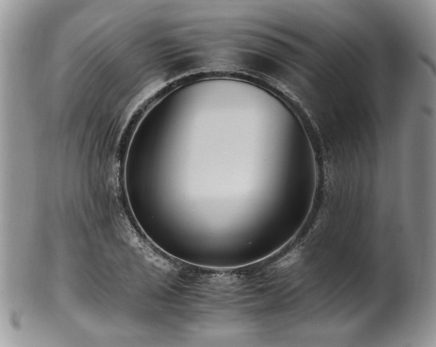X0000100401029200806131009