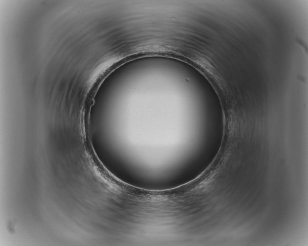 X0000100401030200806131009