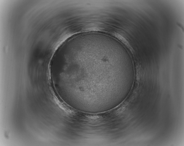 X0000100401031200806131009