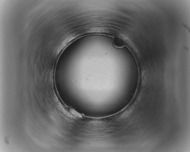 X0000100401033200806131009