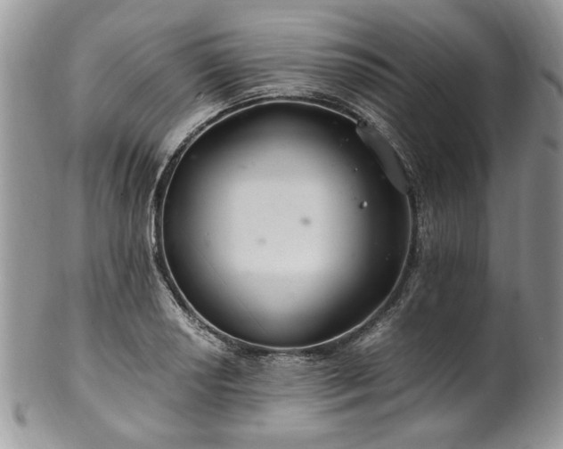 X0000100401034200806131009
