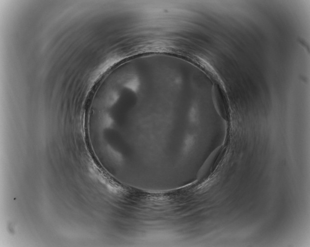X0000100401035200806131009