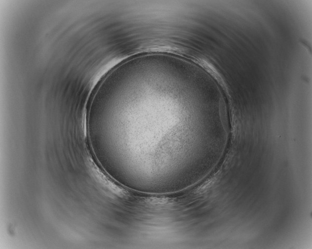 X0000100401036200806131009