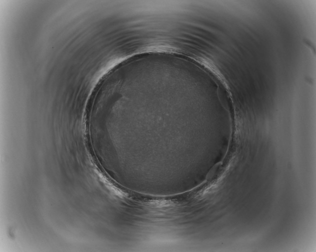 X0000100401037200806131009