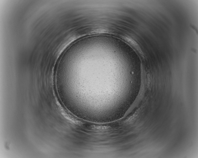 X0000100401039200806131009