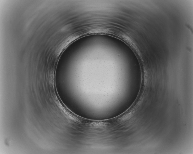 X0000100401041200806131009