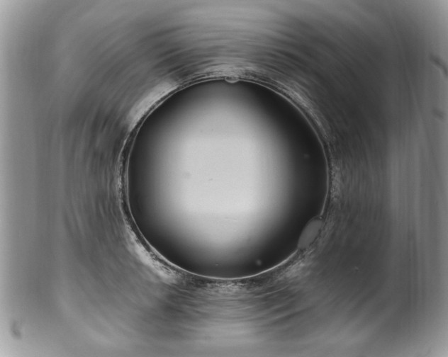 X0000100401042200806131009